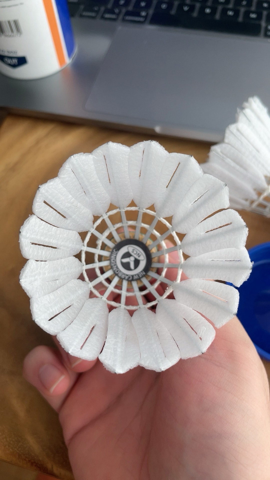 如果能将偶 如果能将偶